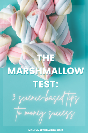 The Marshmallow Test & Money