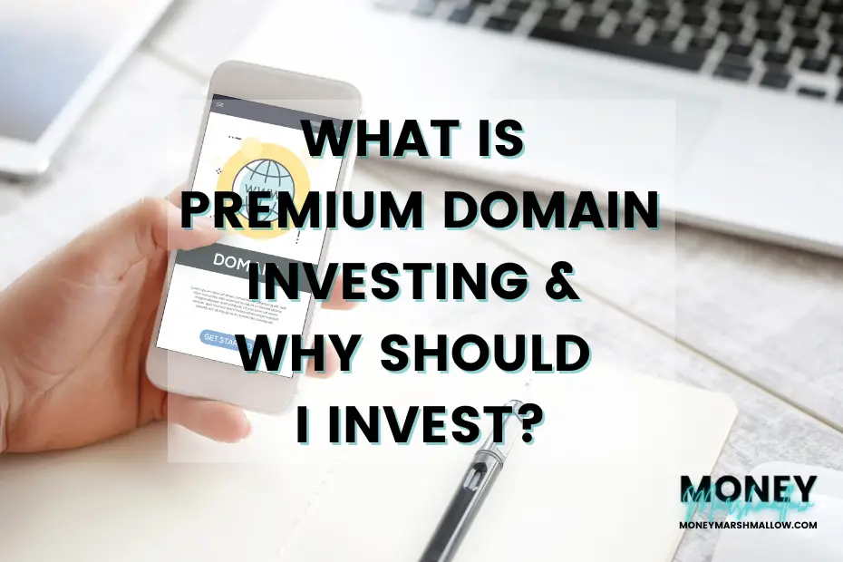 Premium domain investing