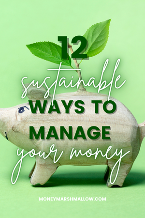 Sustainable money management