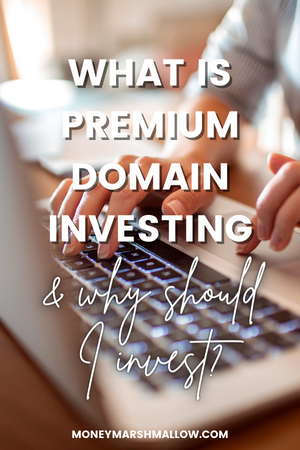 What is premium domain investing