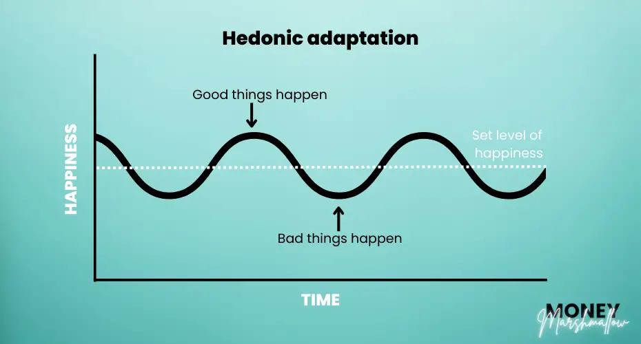 Hedonic adaptation theory