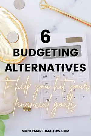 Budgeting alternatives
